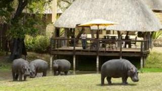 Arathusa Safari Lodge | Accommodation Sabi Sand Reserve