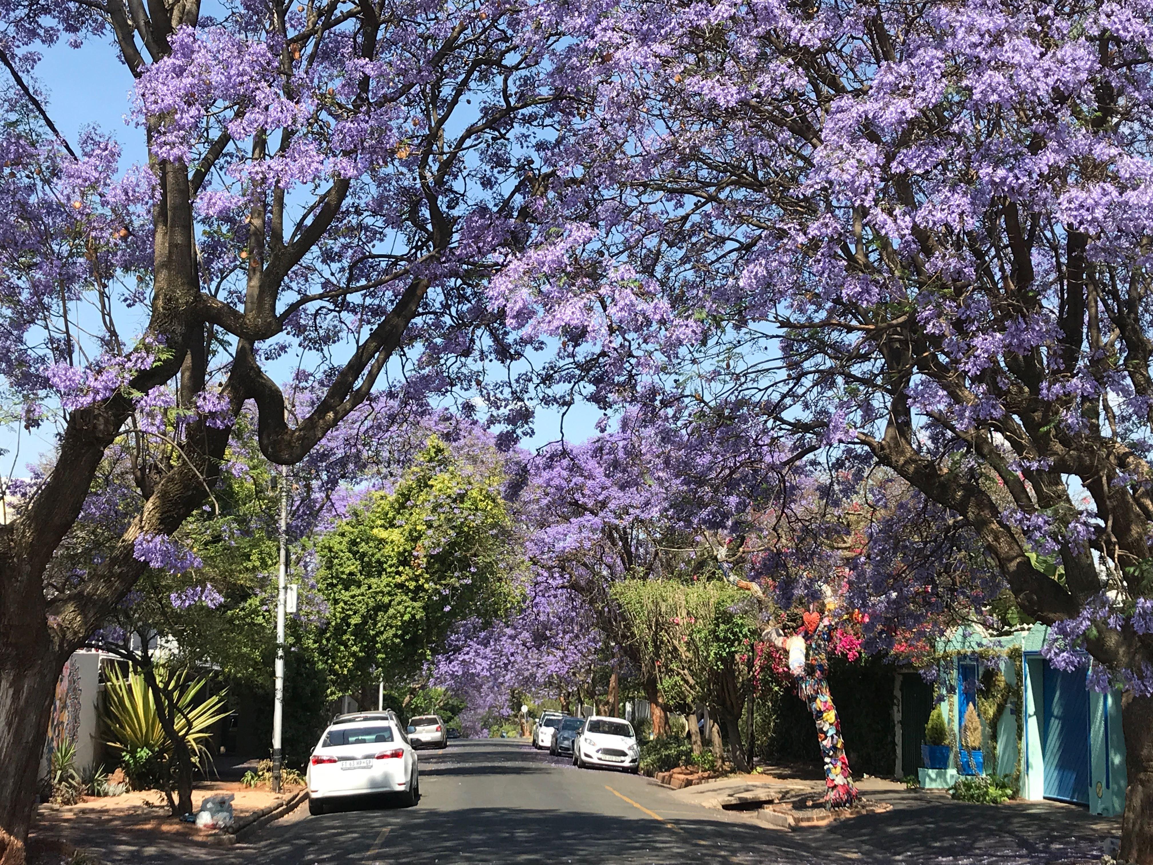 Be My Guest - Bed, Book & Breakfast | Accommodation Melville