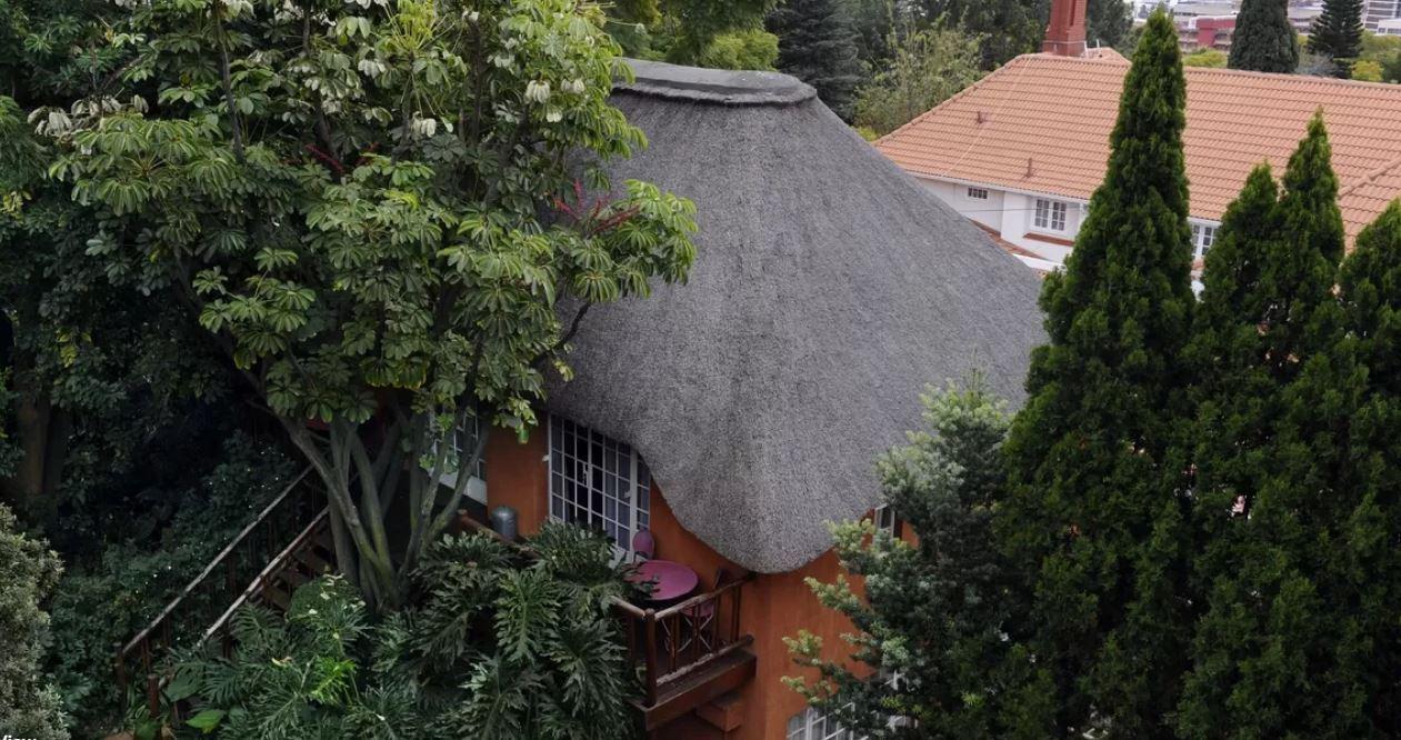 Tree Tops and Treats Guest House | Accommodation Muckleneuk