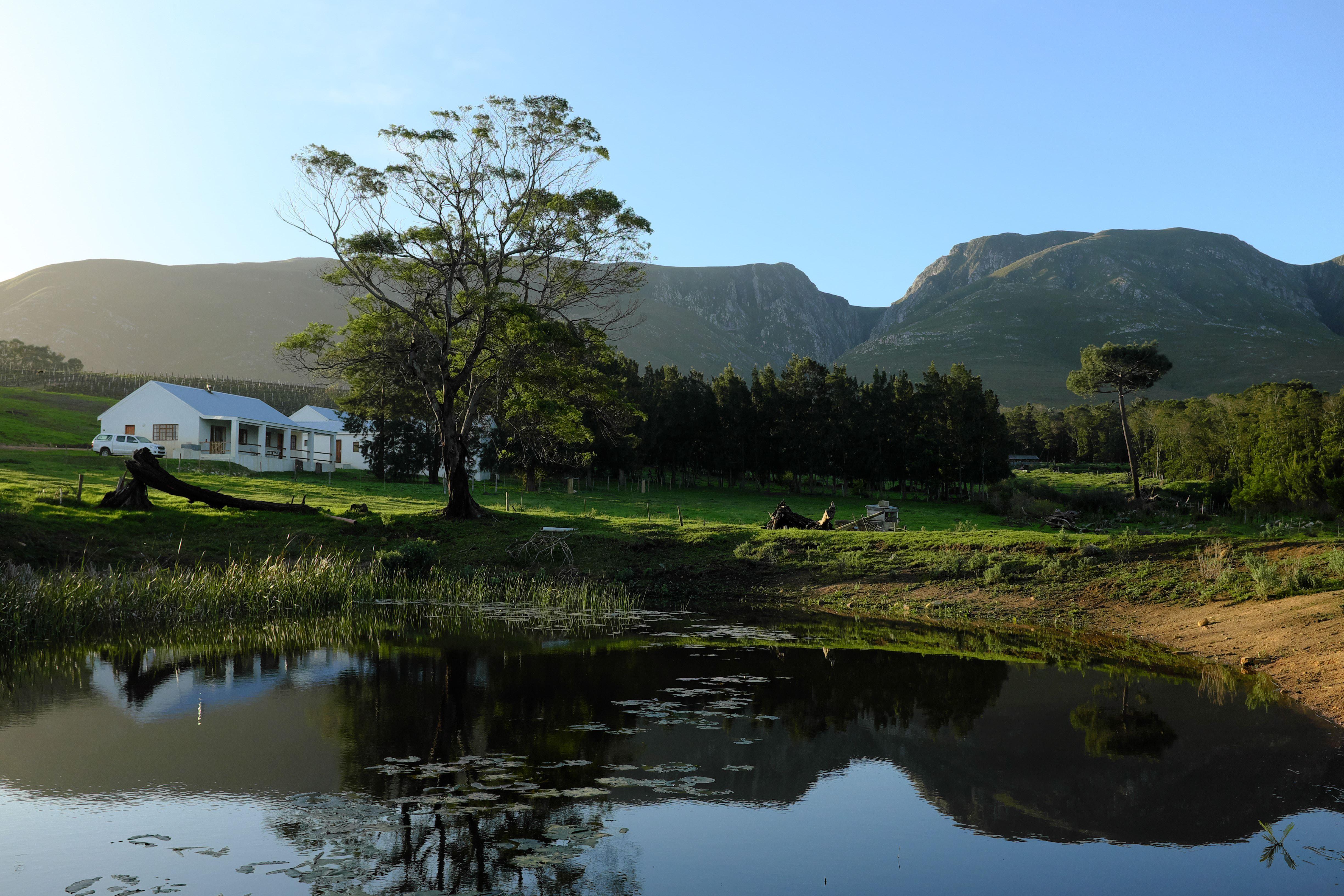 Goodwill Mountain Farm | Accommodation Stanford