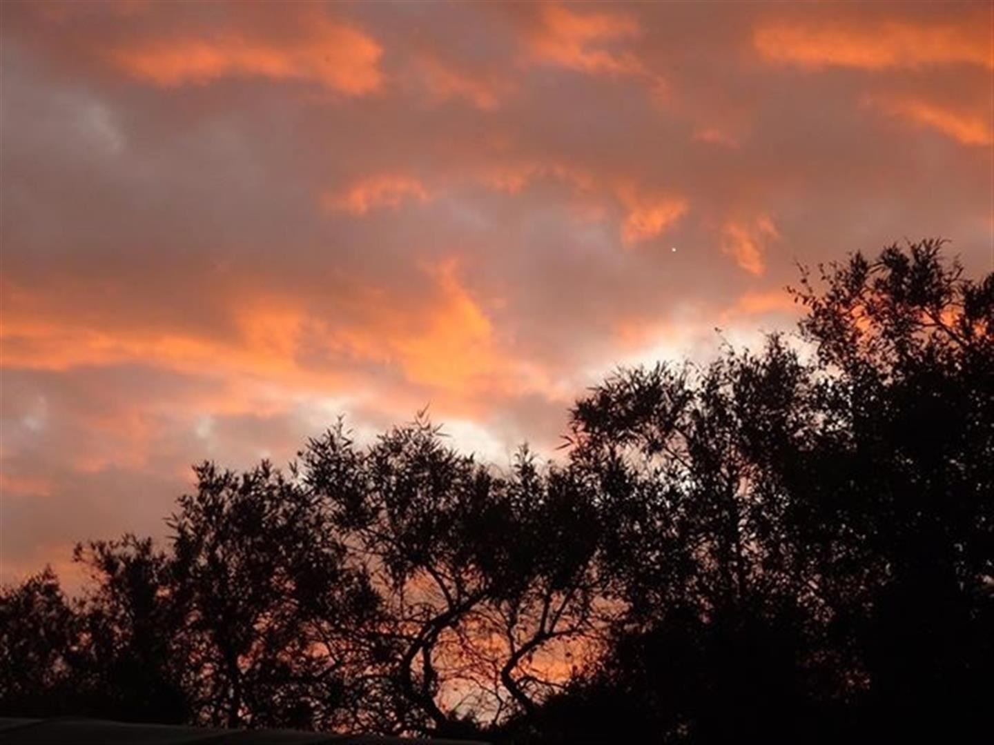 Honey Nest Resort | Rustenburg Lodges