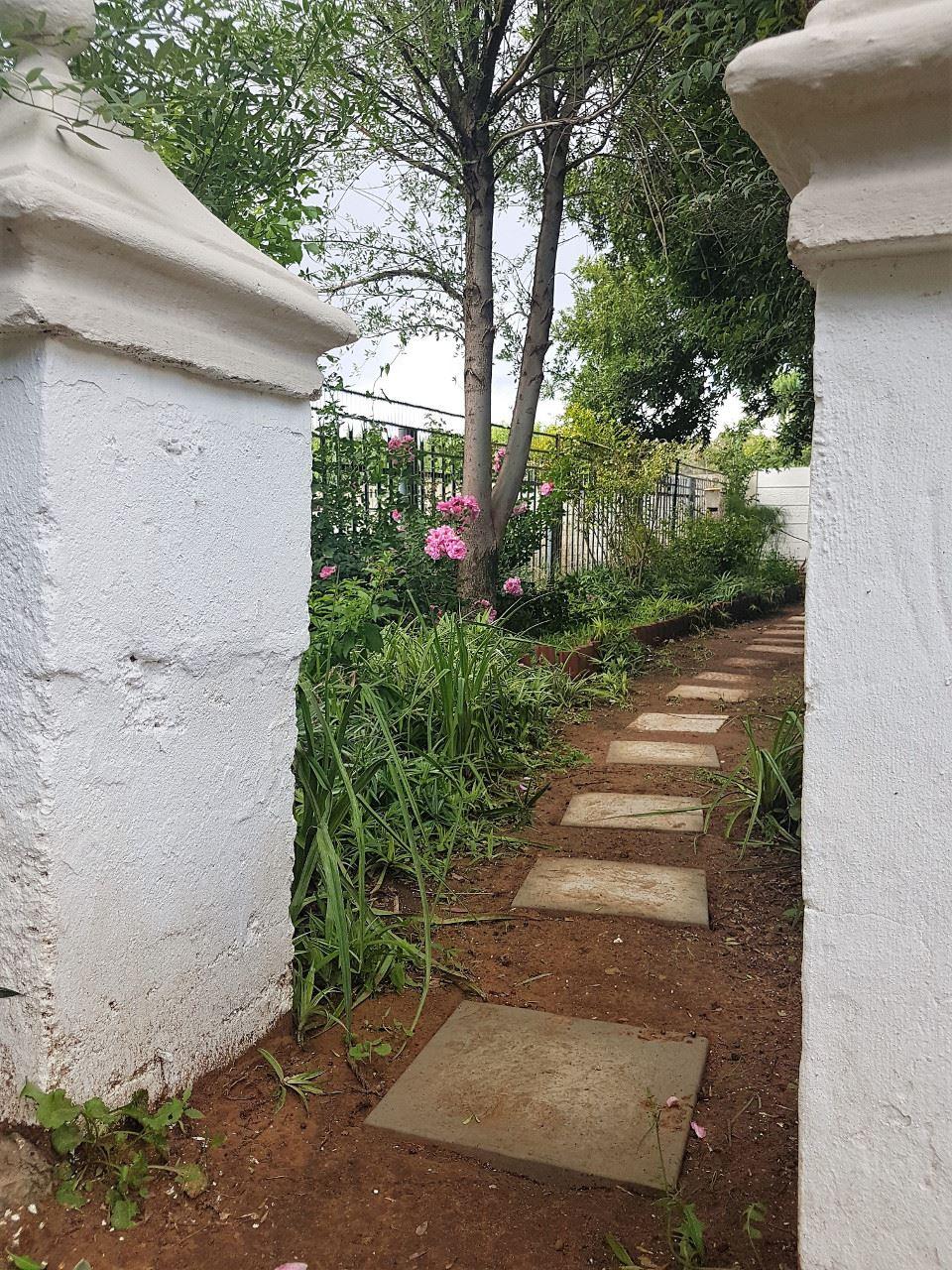 Hessie se Witperd | Accommodation Parys