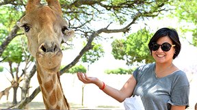 Have an extraordinary face-to-face encounter with the world’s tallest animal – the Giraffe. Feed and interact with these warm and friendly animals from our specially designed feeding platform. An experience unlike any other. The feeding platform is also periodically visited by a variety of other animals including Zebra’s, Nyala’s and Ostriches.