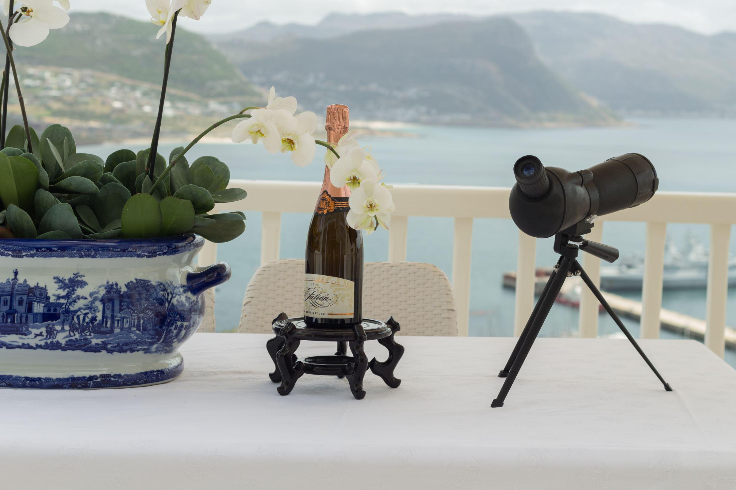 Penguin Palace B&B | Accommodation Simons Town