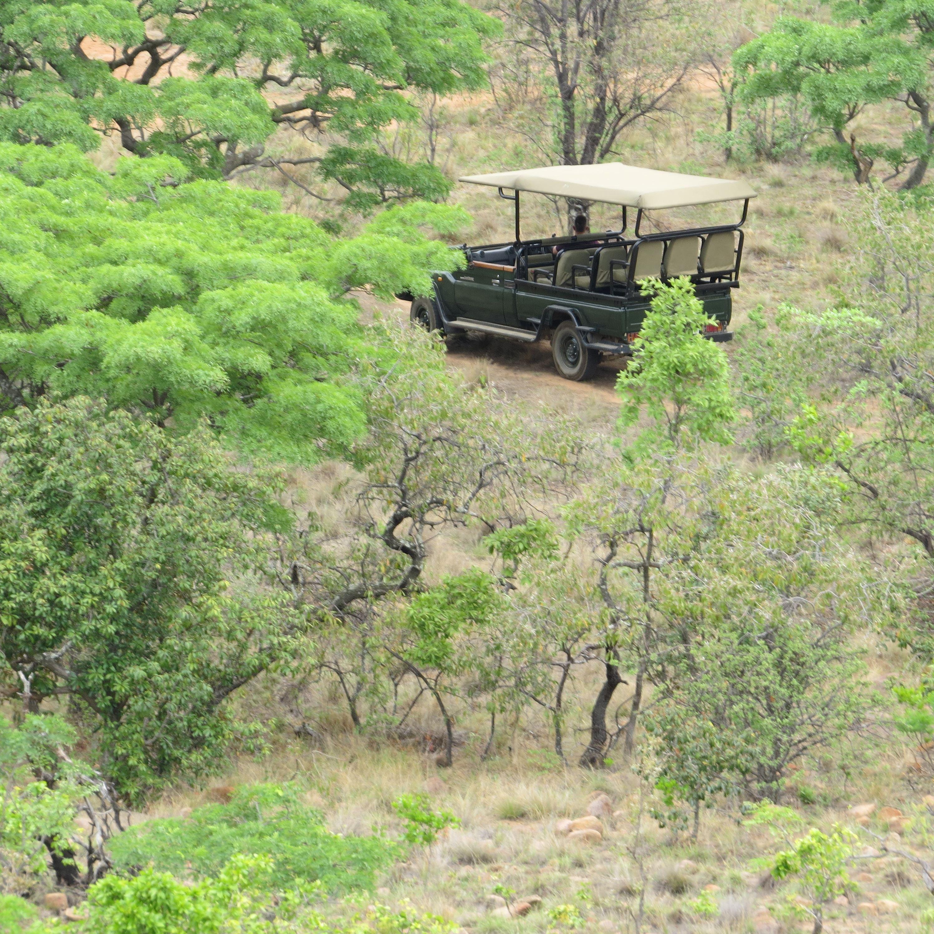 Mangwa African Safari | Bushveld african-safari