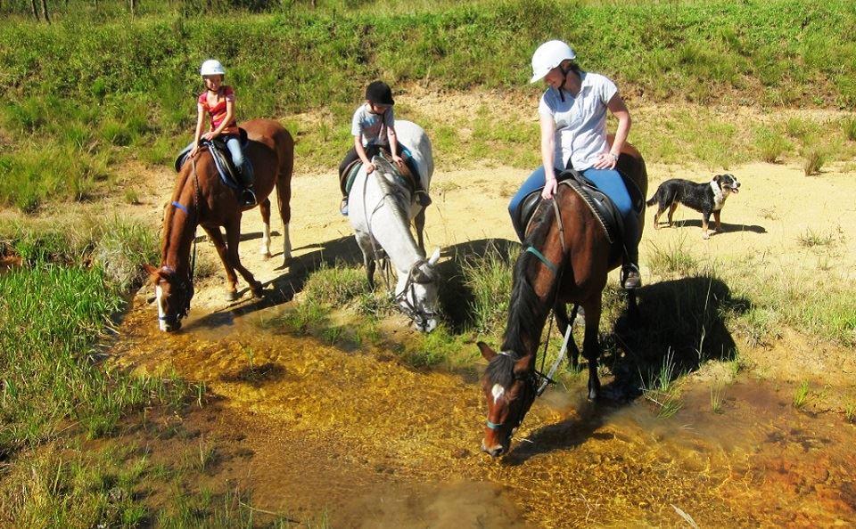 2 Night Stormy Hill Midlands Horse Trail Holiday | Boston Park Accommodation
