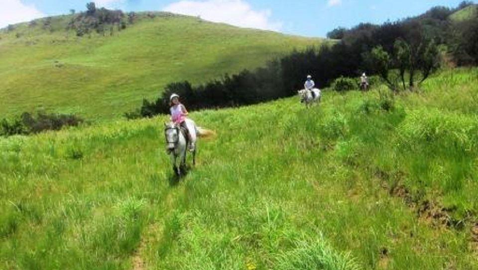 Trail riding through the countryside