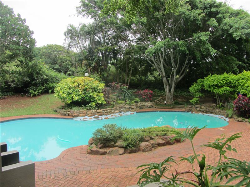 Dolphin Escapes Book Your Dream SelfCatering or Bed and Breakfast Now!