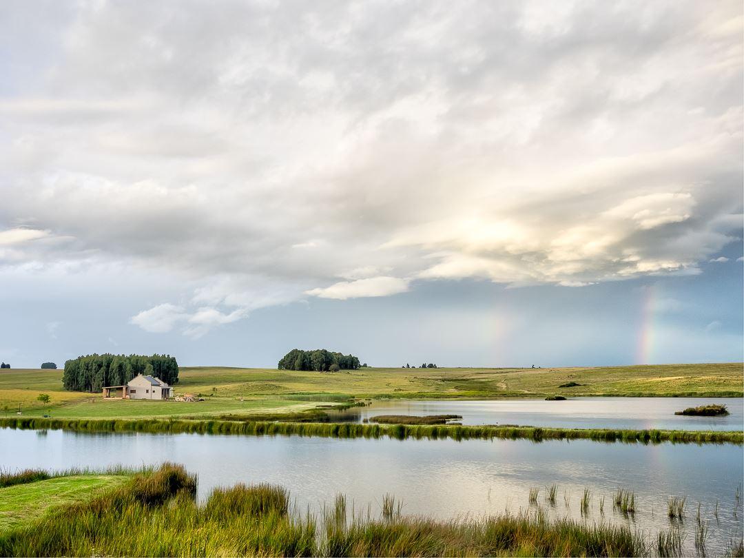 Blue Crane Farm | Accommodation Dullstroom