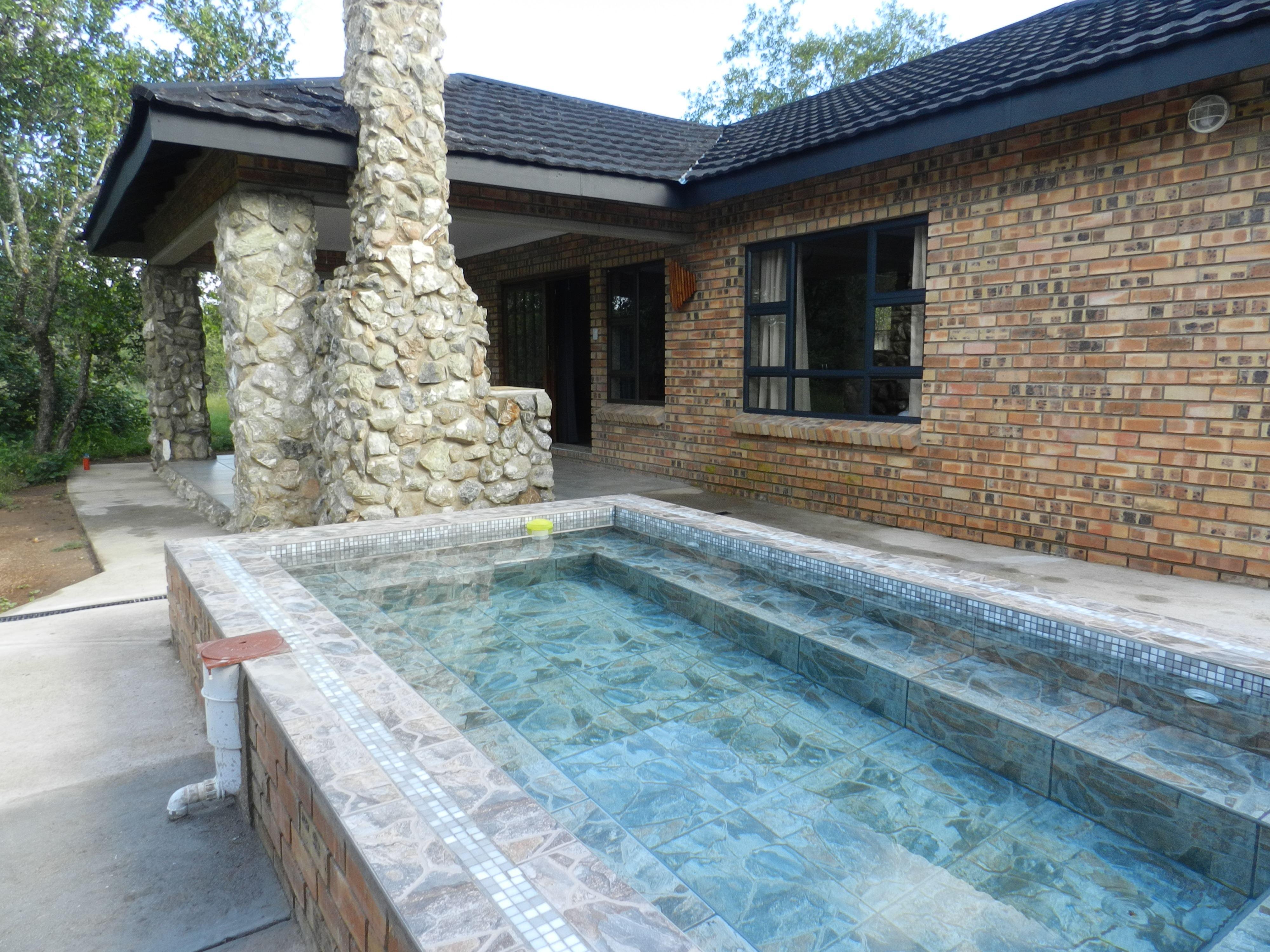 Lion King | Marloth Park Accommodation