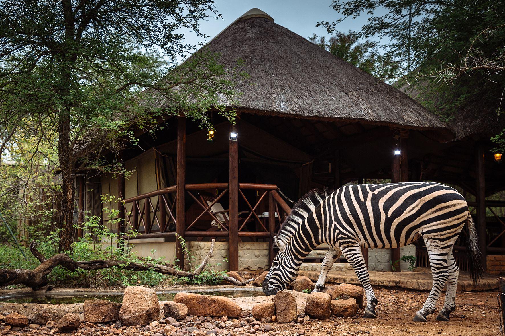 Maerua Luxury Safari Tents | Marloth Park Accommodation