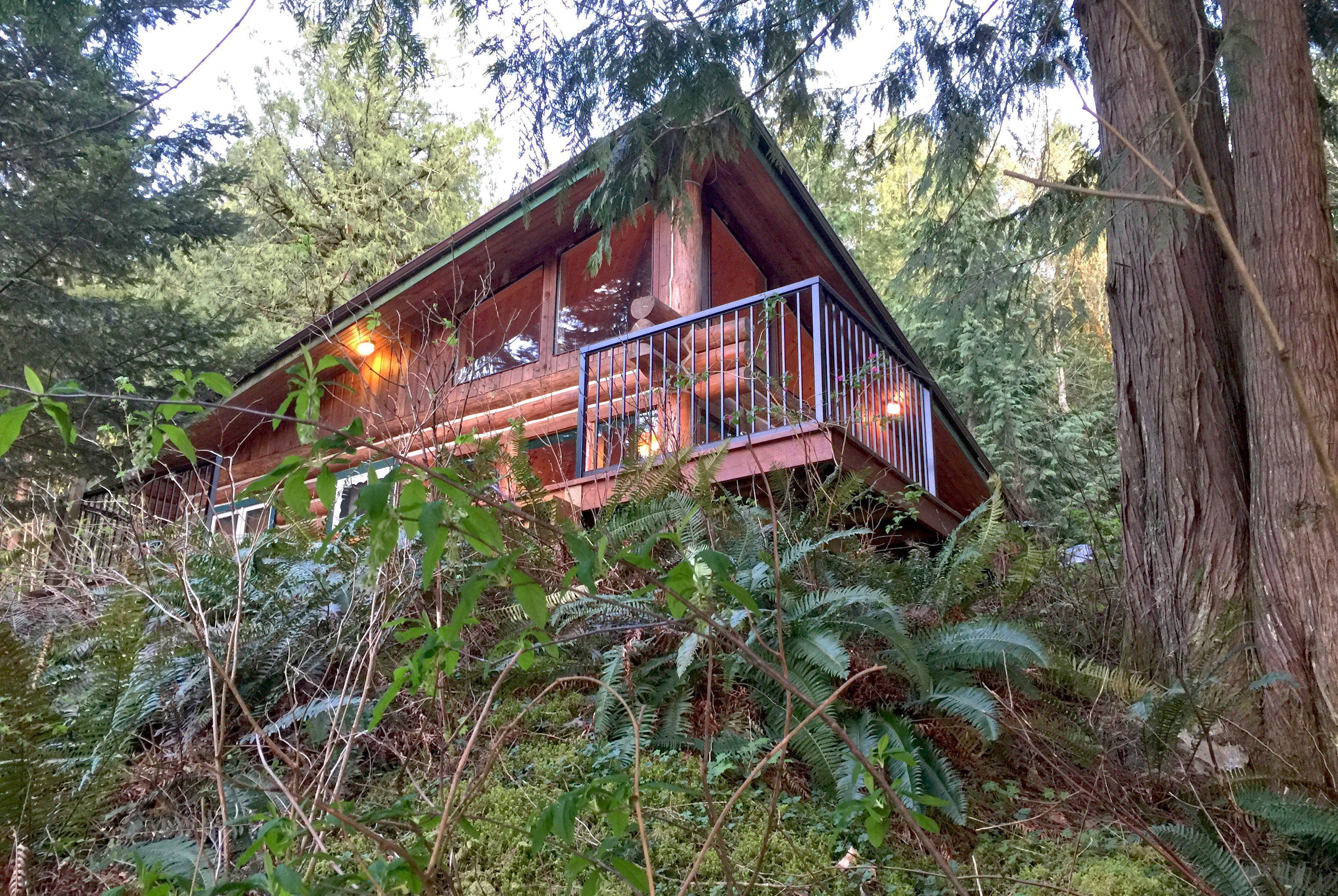 97 Maple Falls Cabin Get the Best Deal Book Self