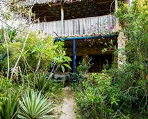 Blue Monkey Beach Cottages