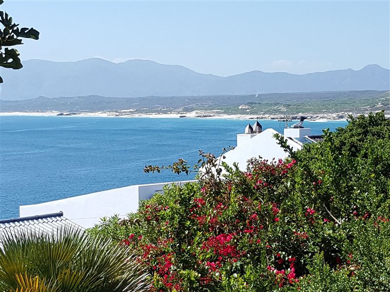 View from Whale Rooms patio