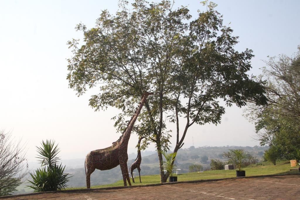 Albert Falls Country Estate