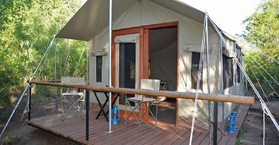 Wild Olive Tree Camp | Accommodation Kruger National Park