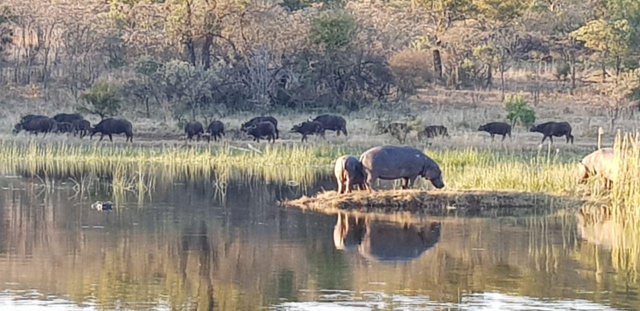 Mabalingwe Game Reserve Uzuri Lodge | Mabalingwe Nature Reserve Specials