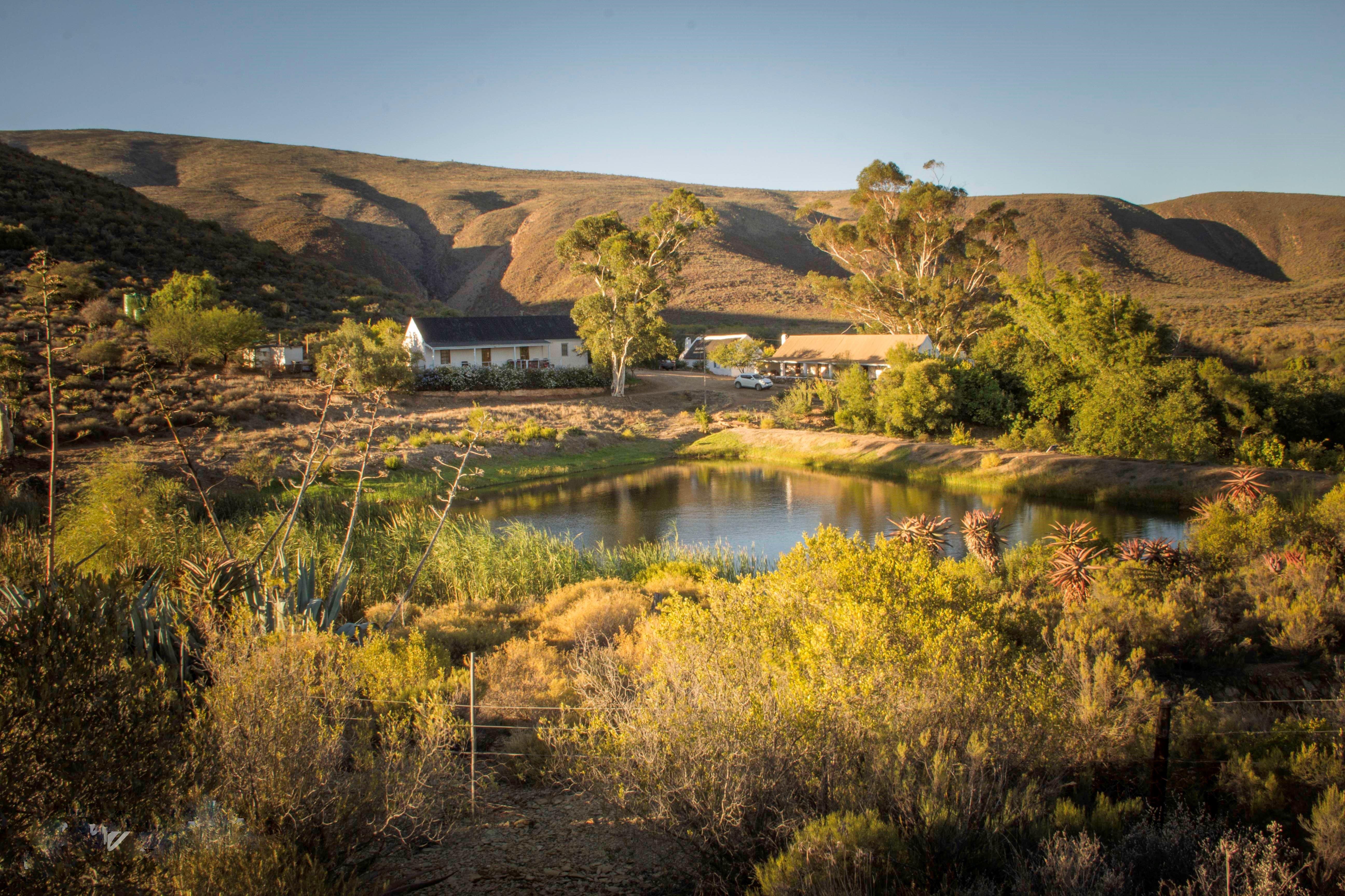 Watermill Farm Guest Cottages | Western Cape Specials