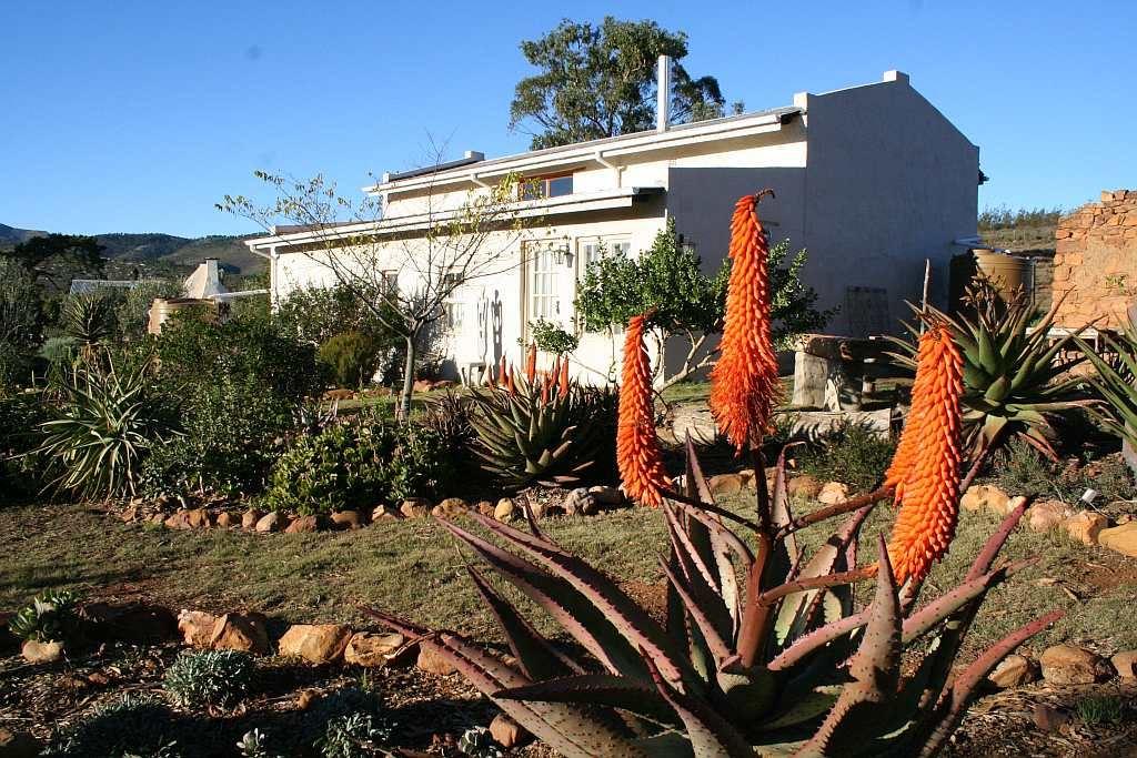 Langkloof Gallery Retreat | Uniondale Accommodation