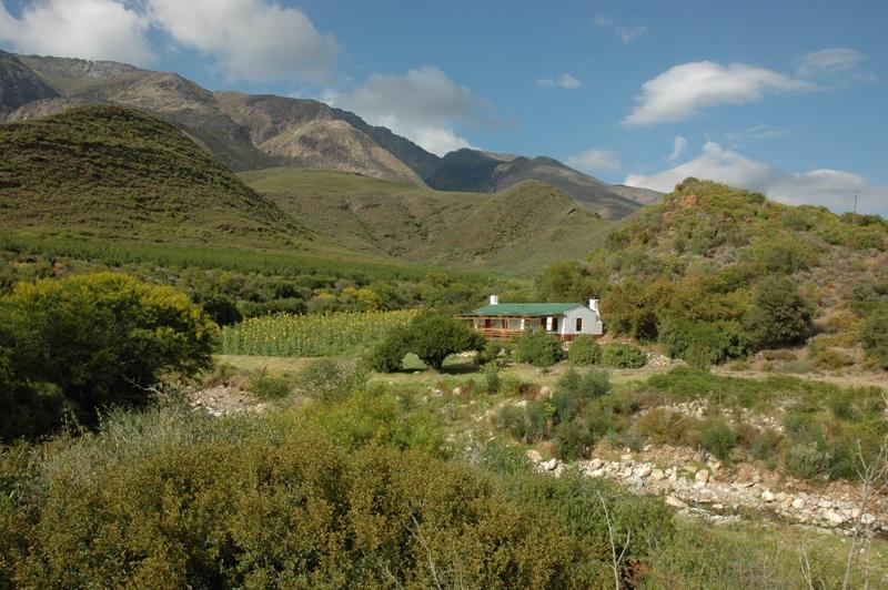 Dew Cottage | Montagu Accommodation