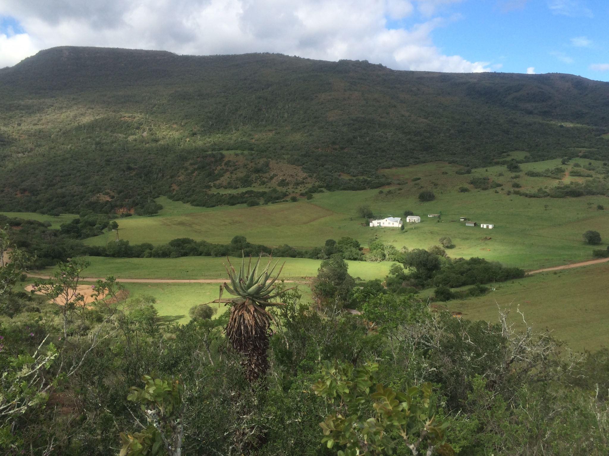 Kromrivier Farm Stays, Accommodation & Camping Venue | Eastern Cape Specials
