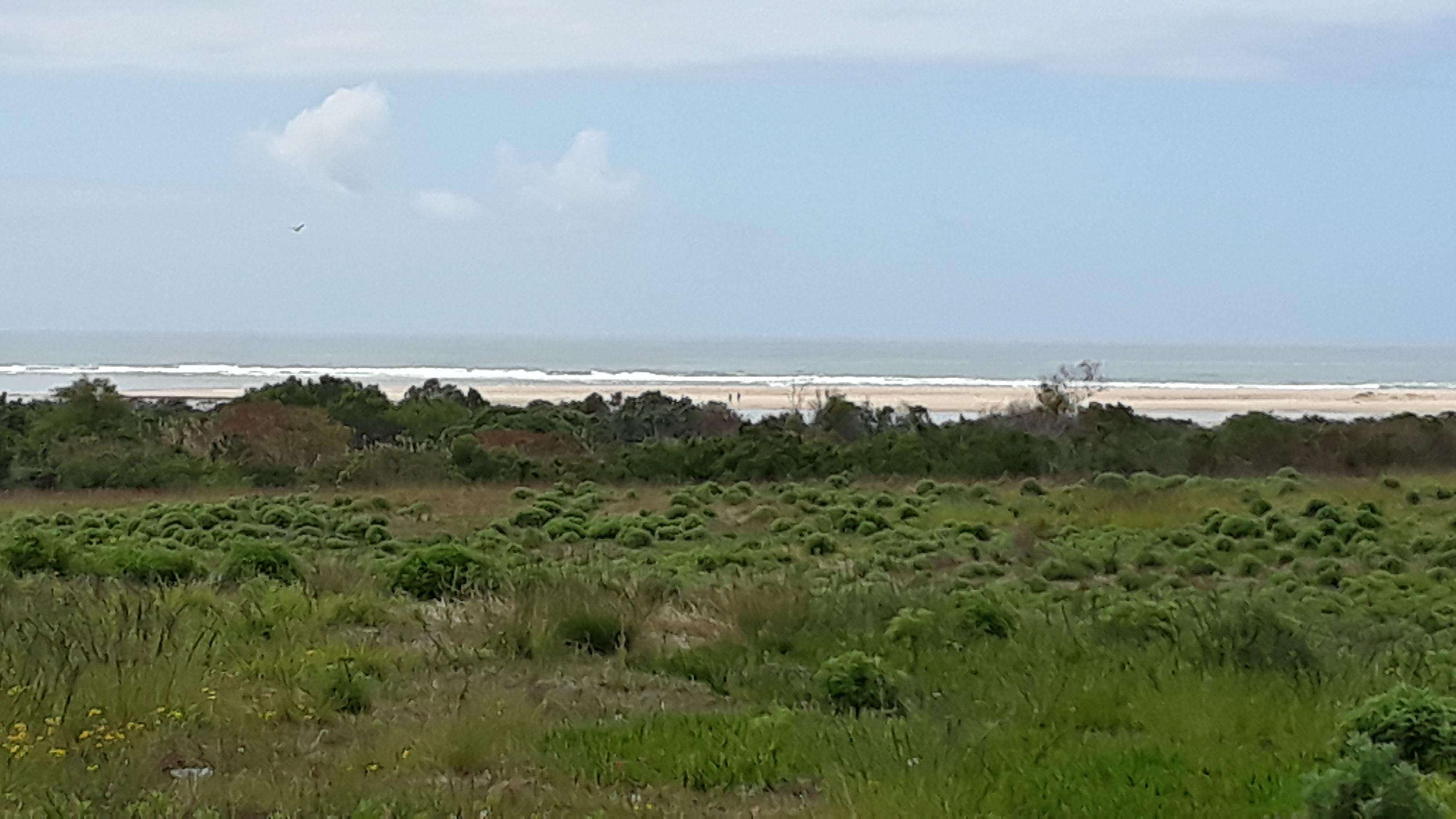 Plettenberg Bay Primary School Caravan Park | Accommodation Plettenberg Bay