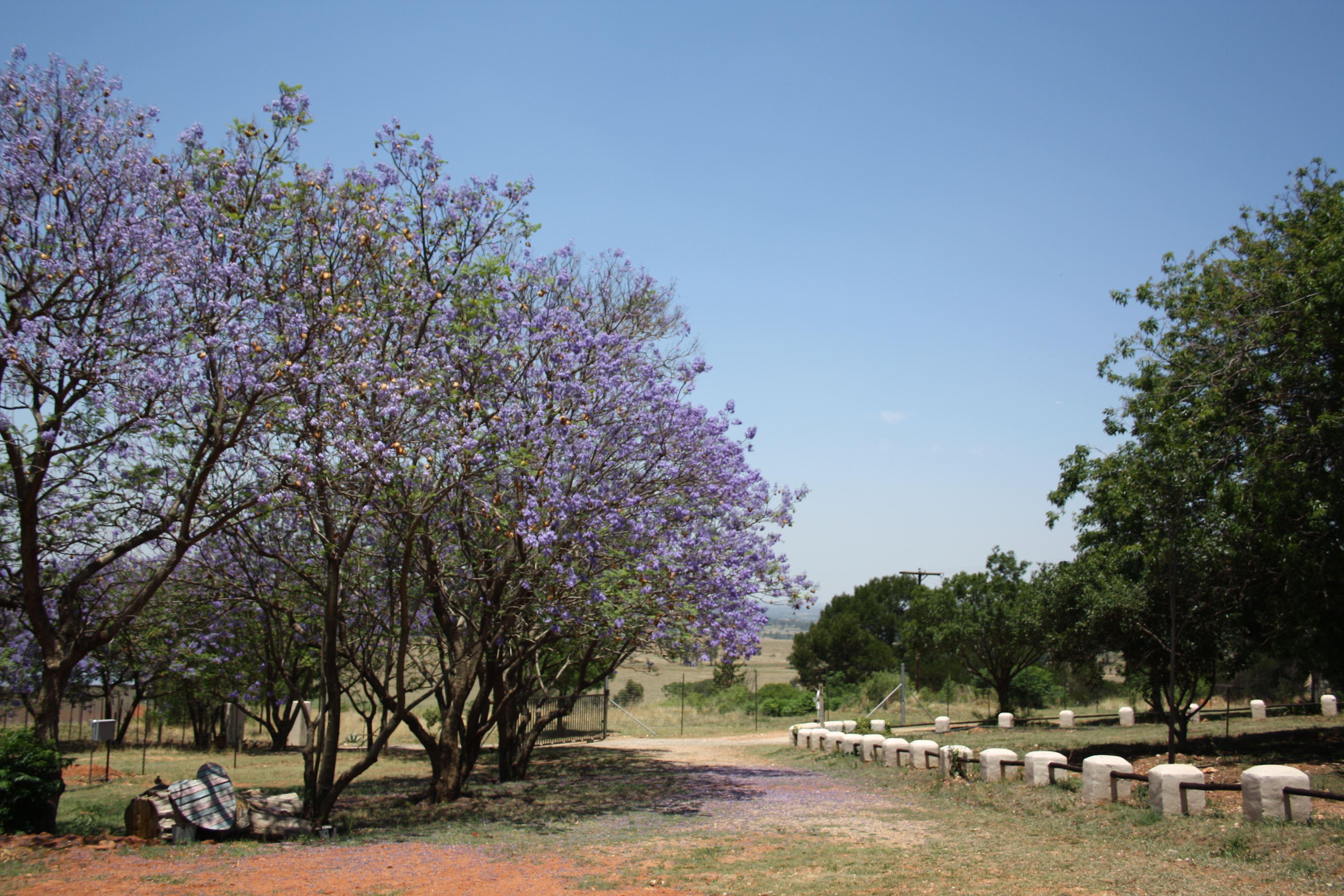 Misty Morn Cottages | Accommodation Muldersdrift