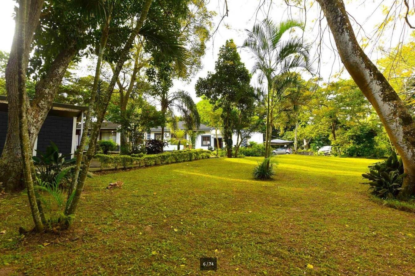 Fern Gully Self Catering Accommodation | Umtentweni Accommodation