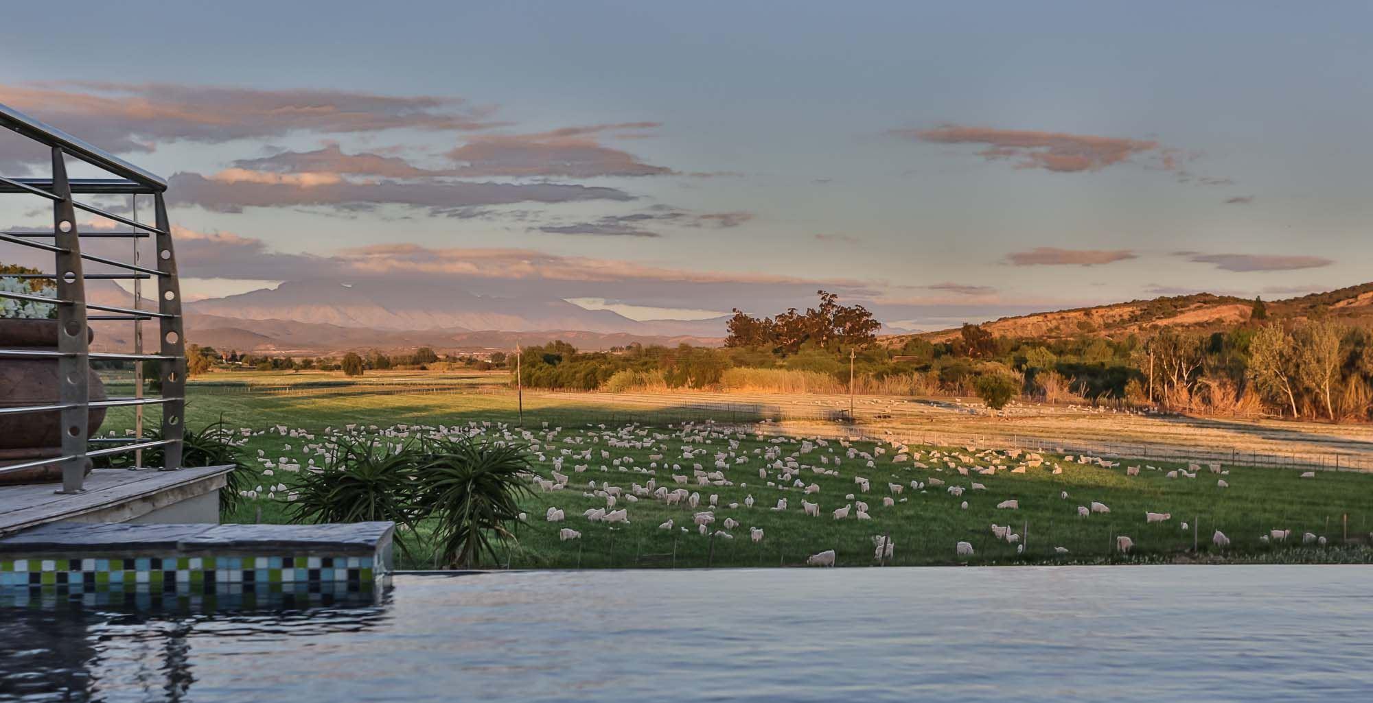 Sonas Boutique Guest House