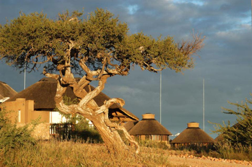 Gocheganas Lodge | Accommodation Central Region