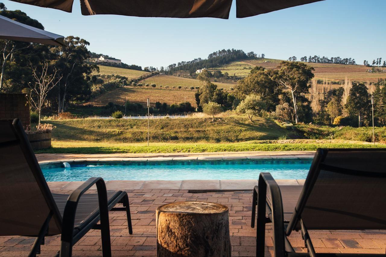 The Log Cabin | South Africa Specials