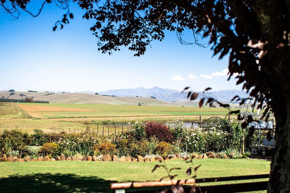 Chikanka | Himeville Accommodation