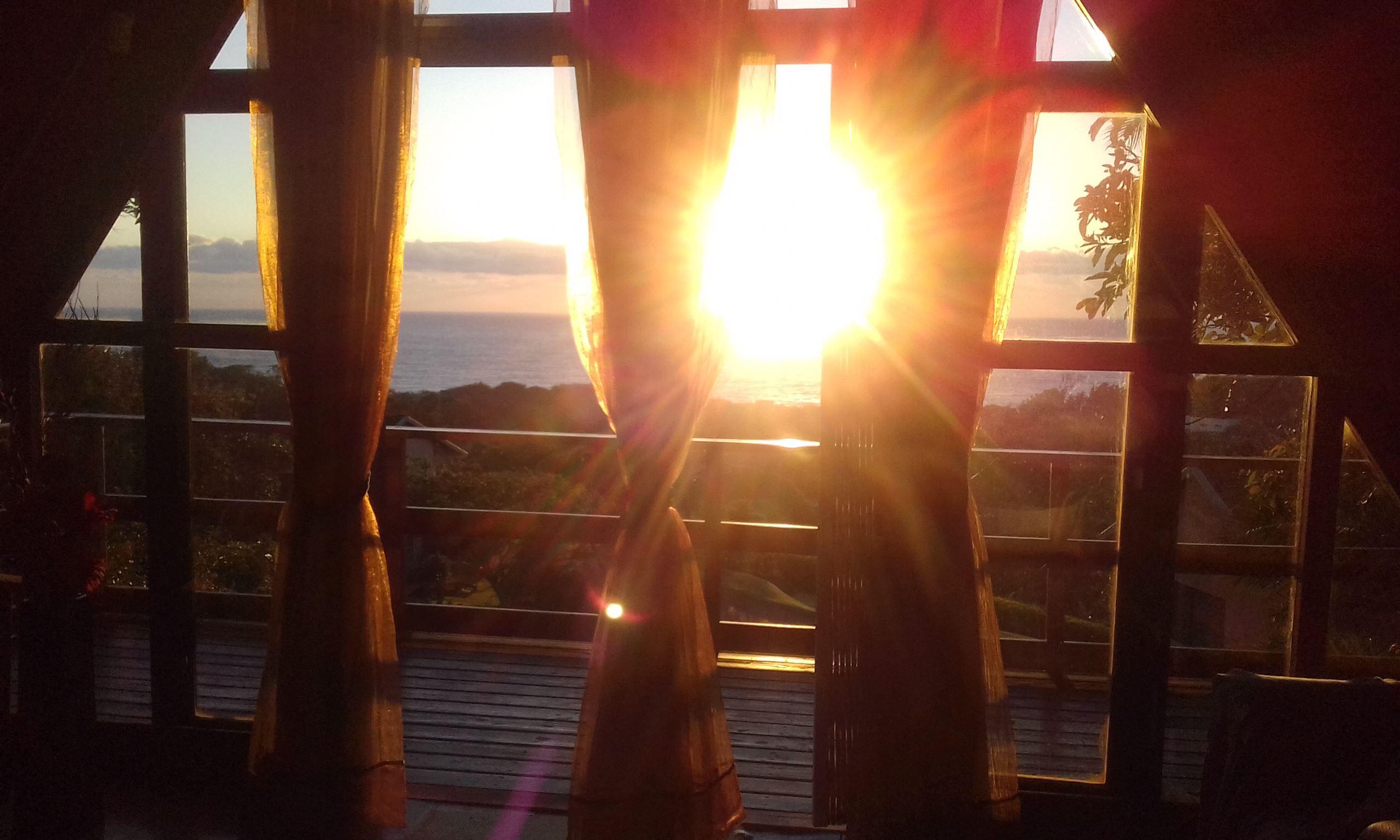 Palm View Sunrise