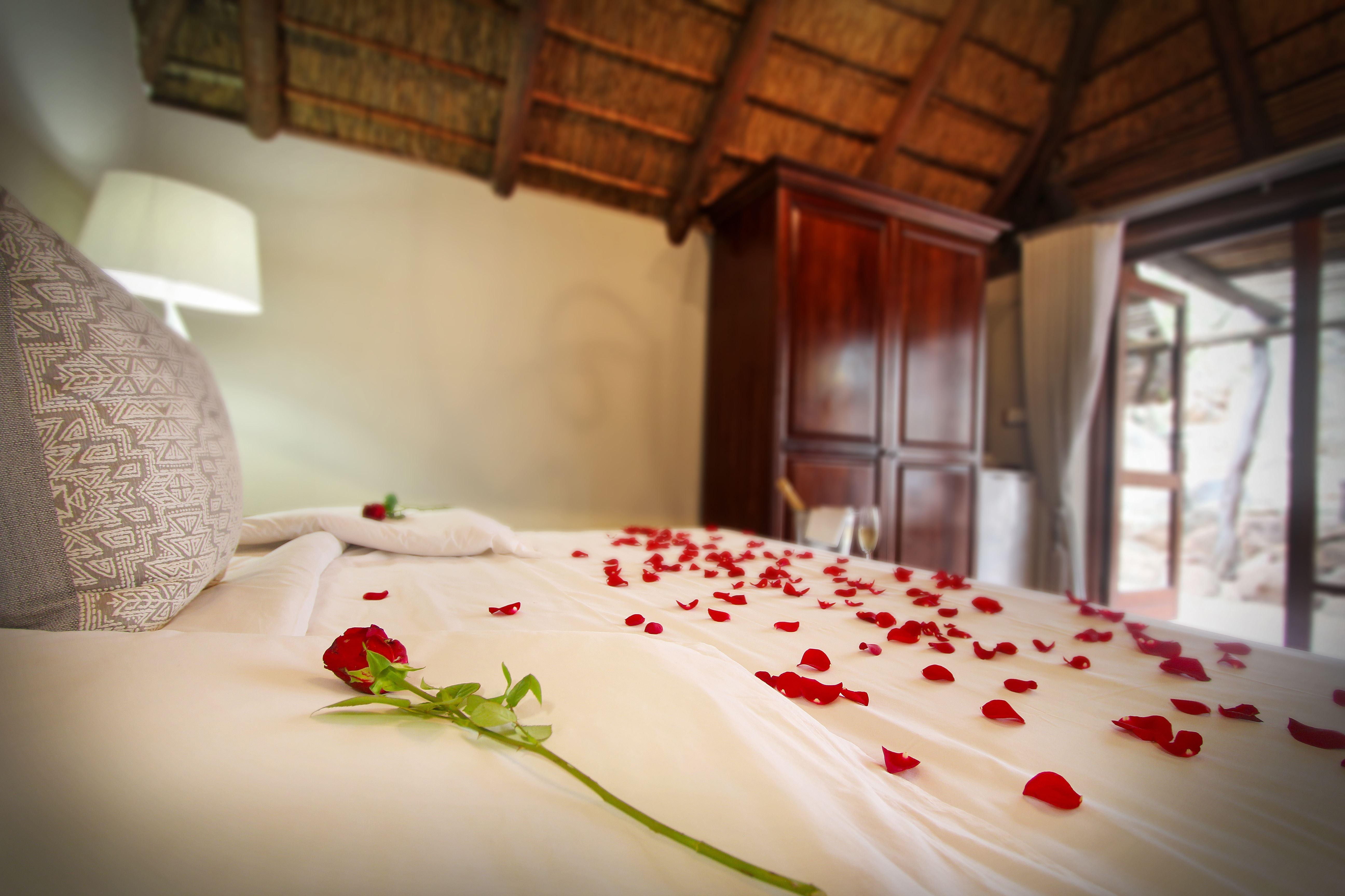 3 Night Elphant Adventure Package