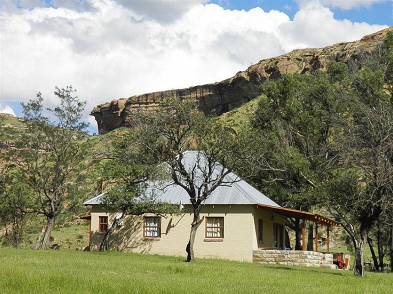 Blackwoods Farm Cottage