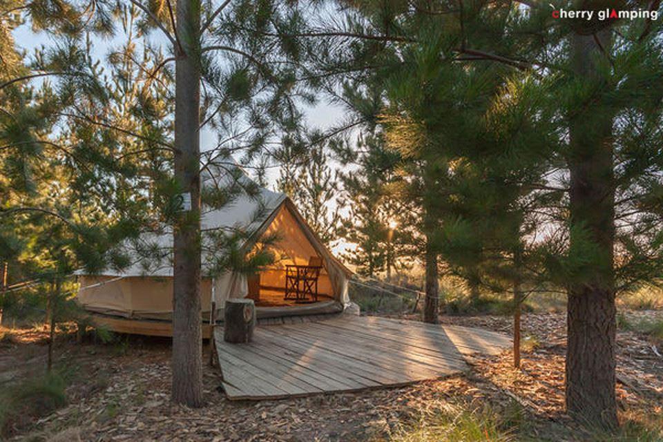 Cherry Glamping | Grabouw Accommodation