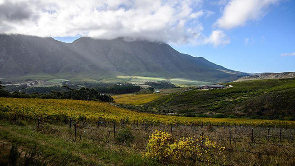 Clouds End Farm | Self-catering Hermanus