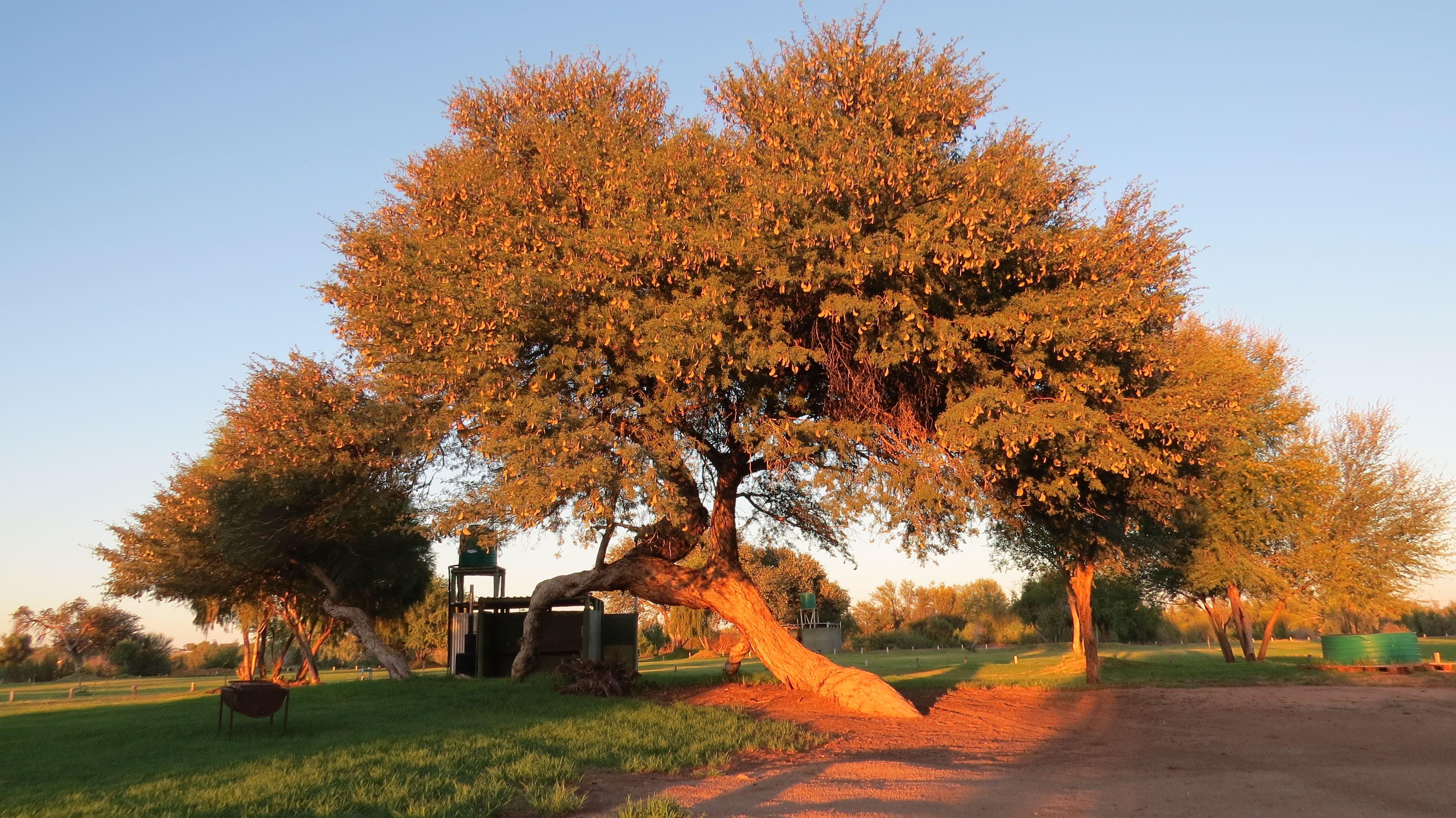 Kameeldoring Camping | Augrabies Accommodation