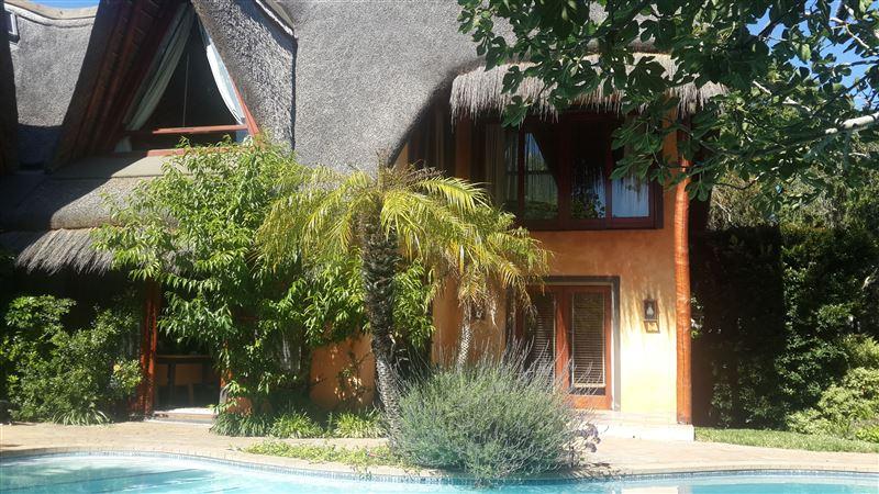 African Nest (Guest Suite)