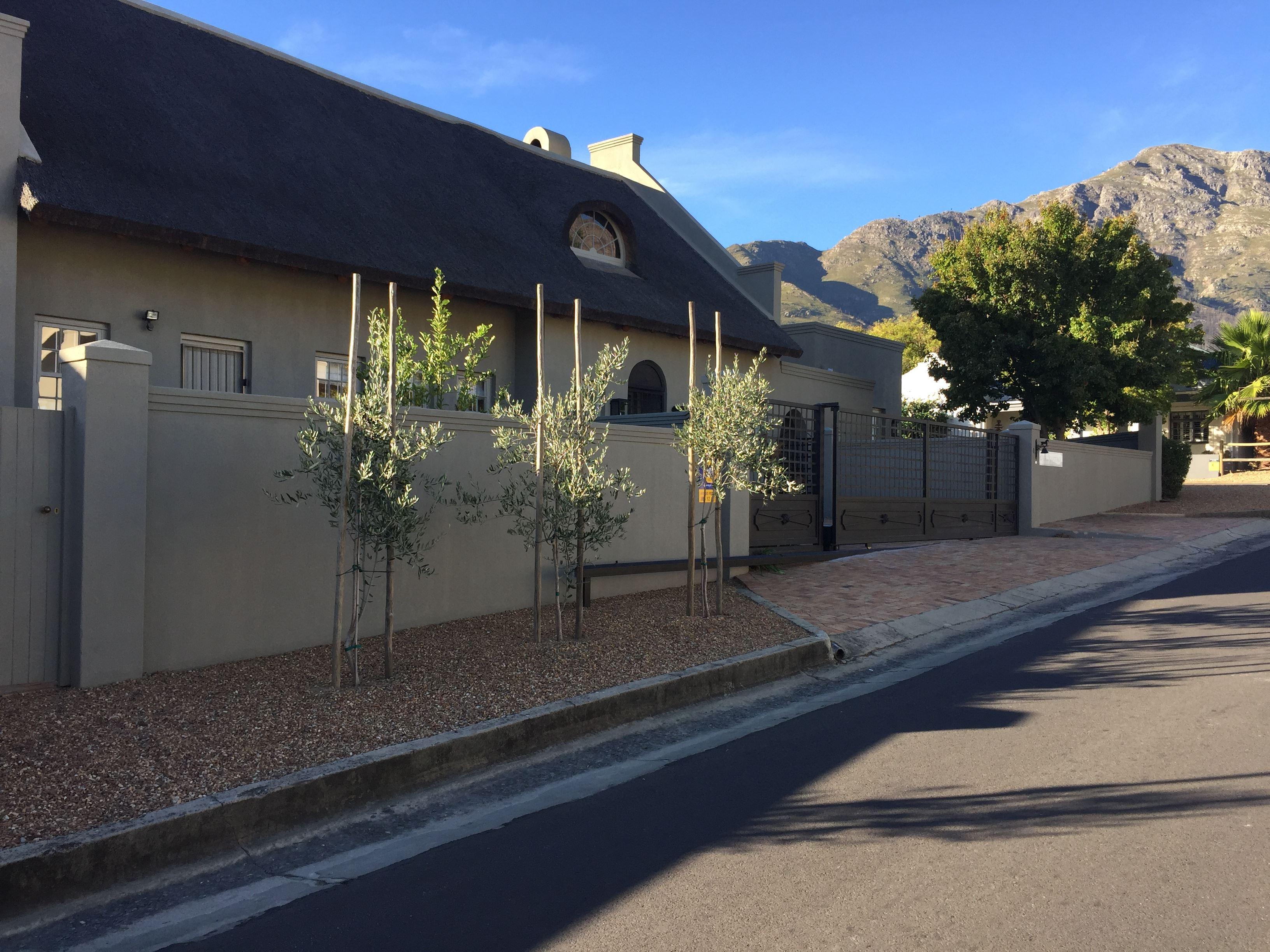 Oxford Cottage | Franschhoek Accommodation