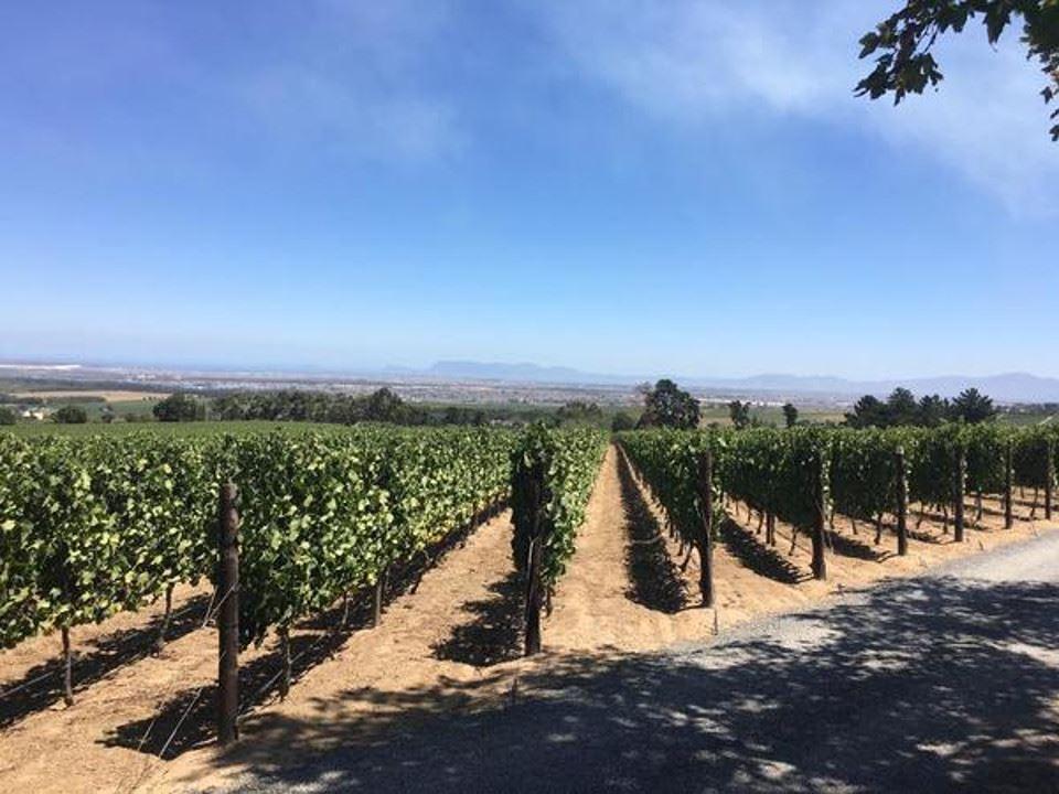 Adrian D'Cap | Self-catering Stellenbosch