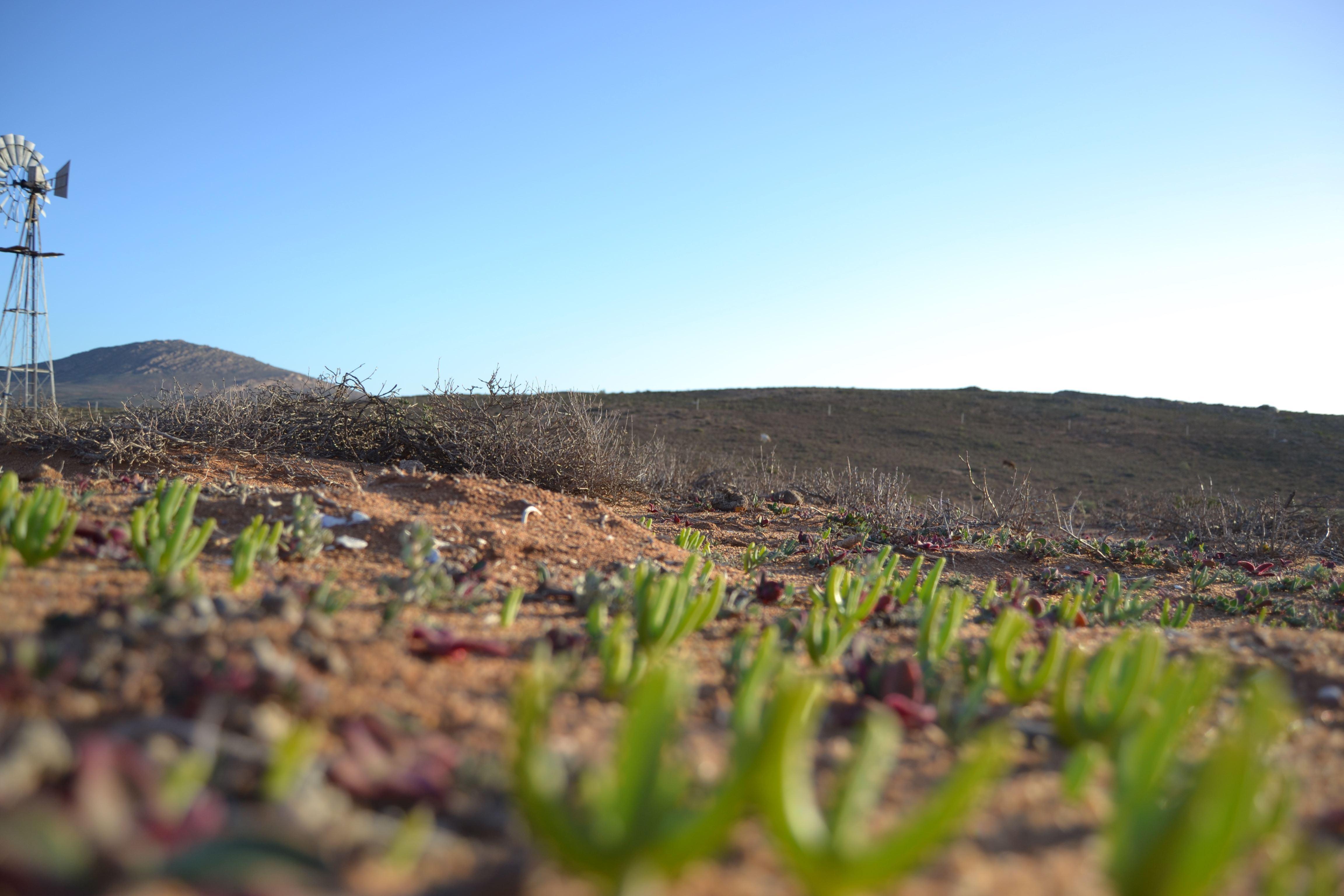 Kallabaskop Eco lodge