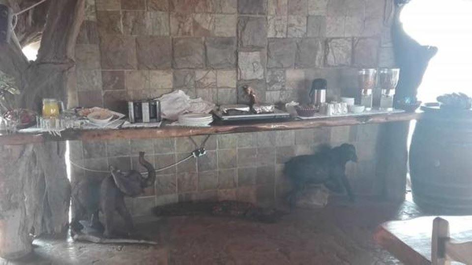 Olifants River Lodge & Safaris