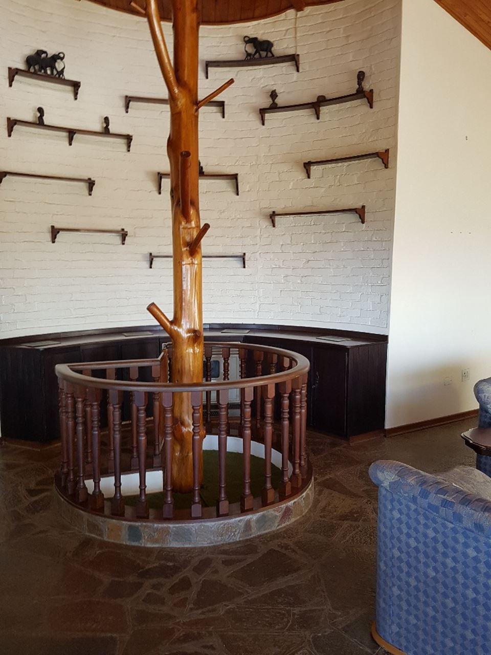 The Treehouse