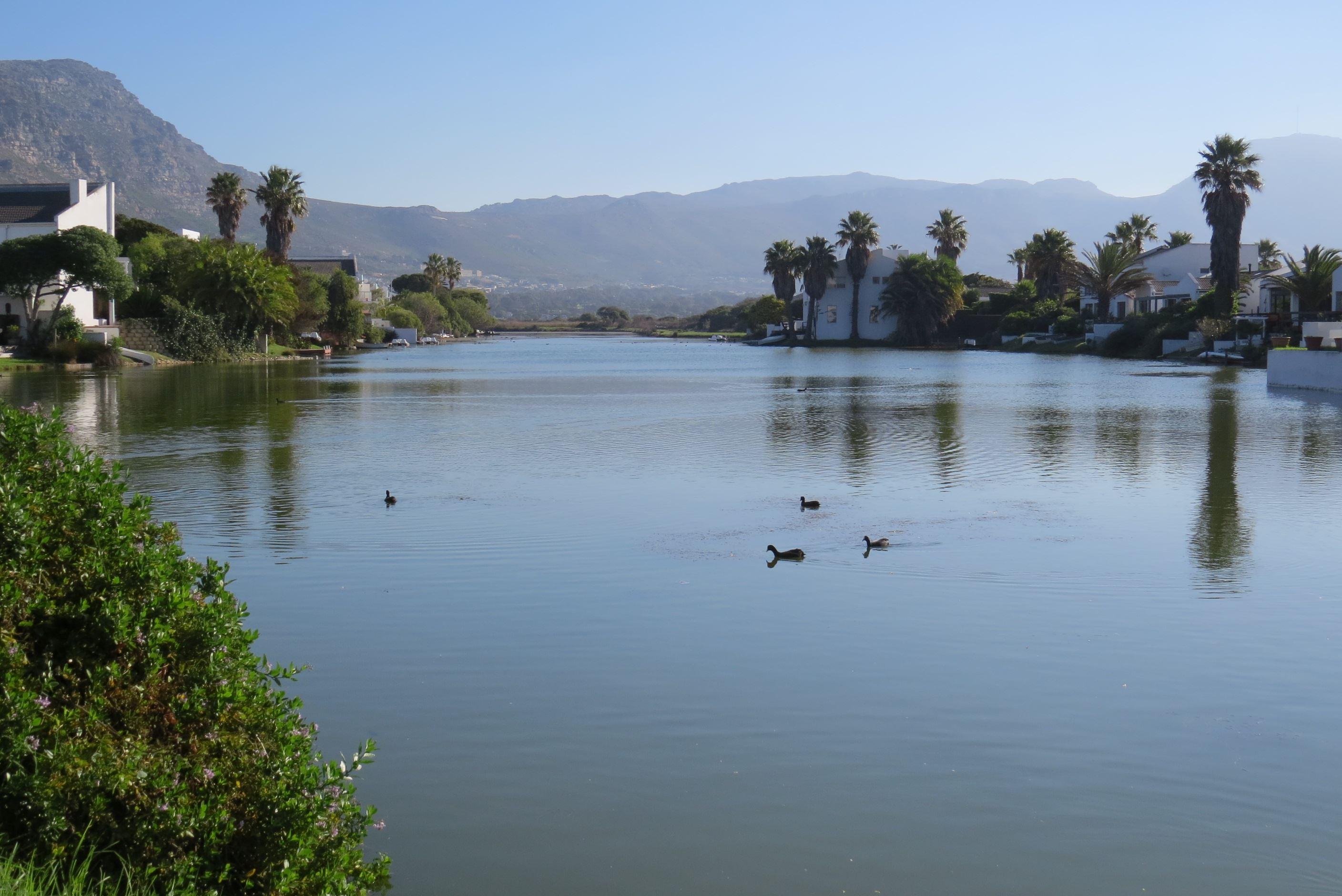 chamomile waterside view