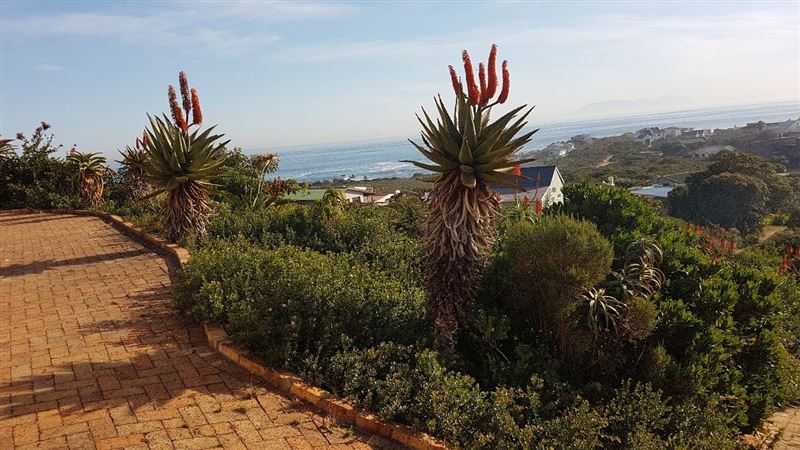 Fynbos at entrance © Petro