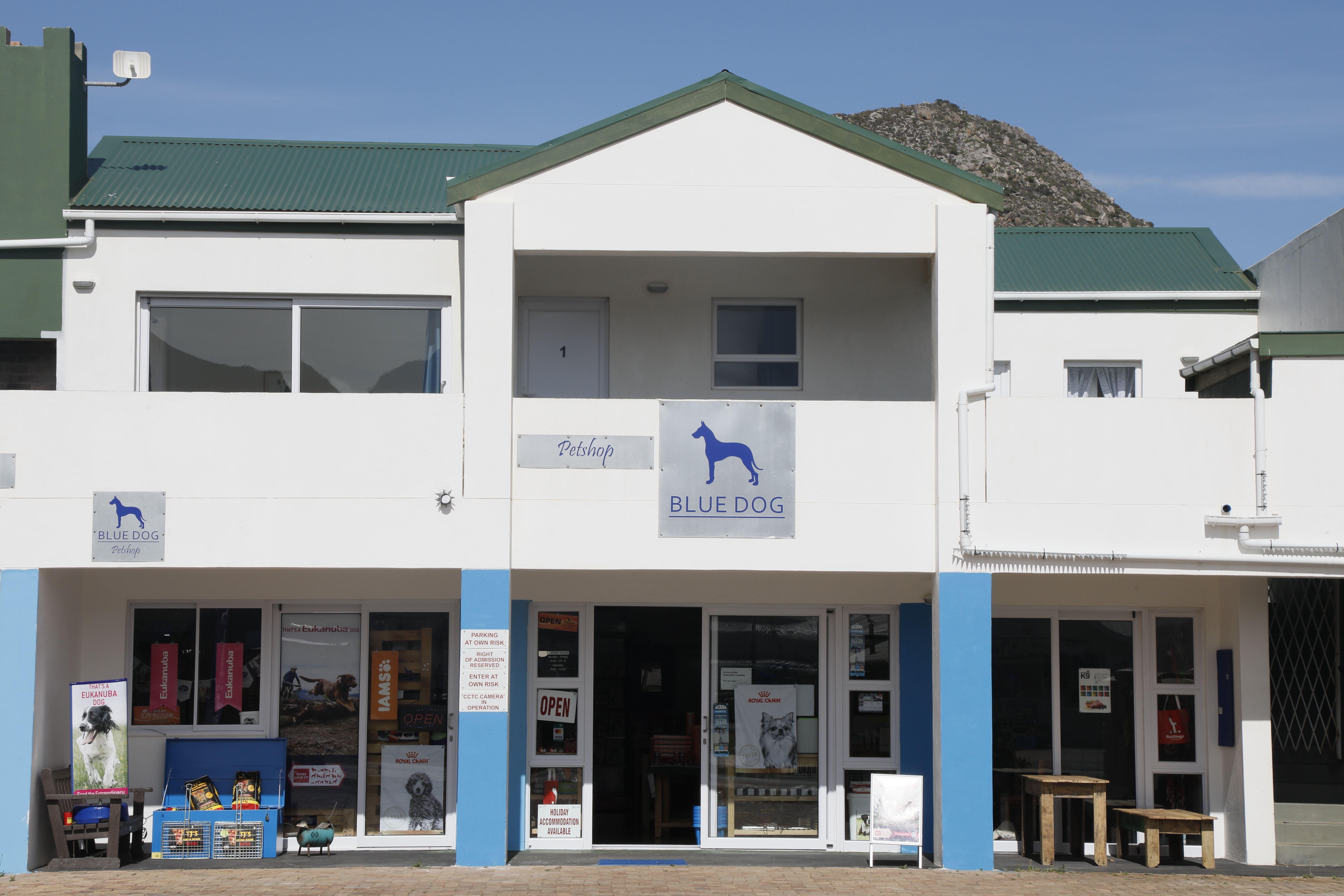 Blue Dog Accommodation | Pringle Bay Accommodation