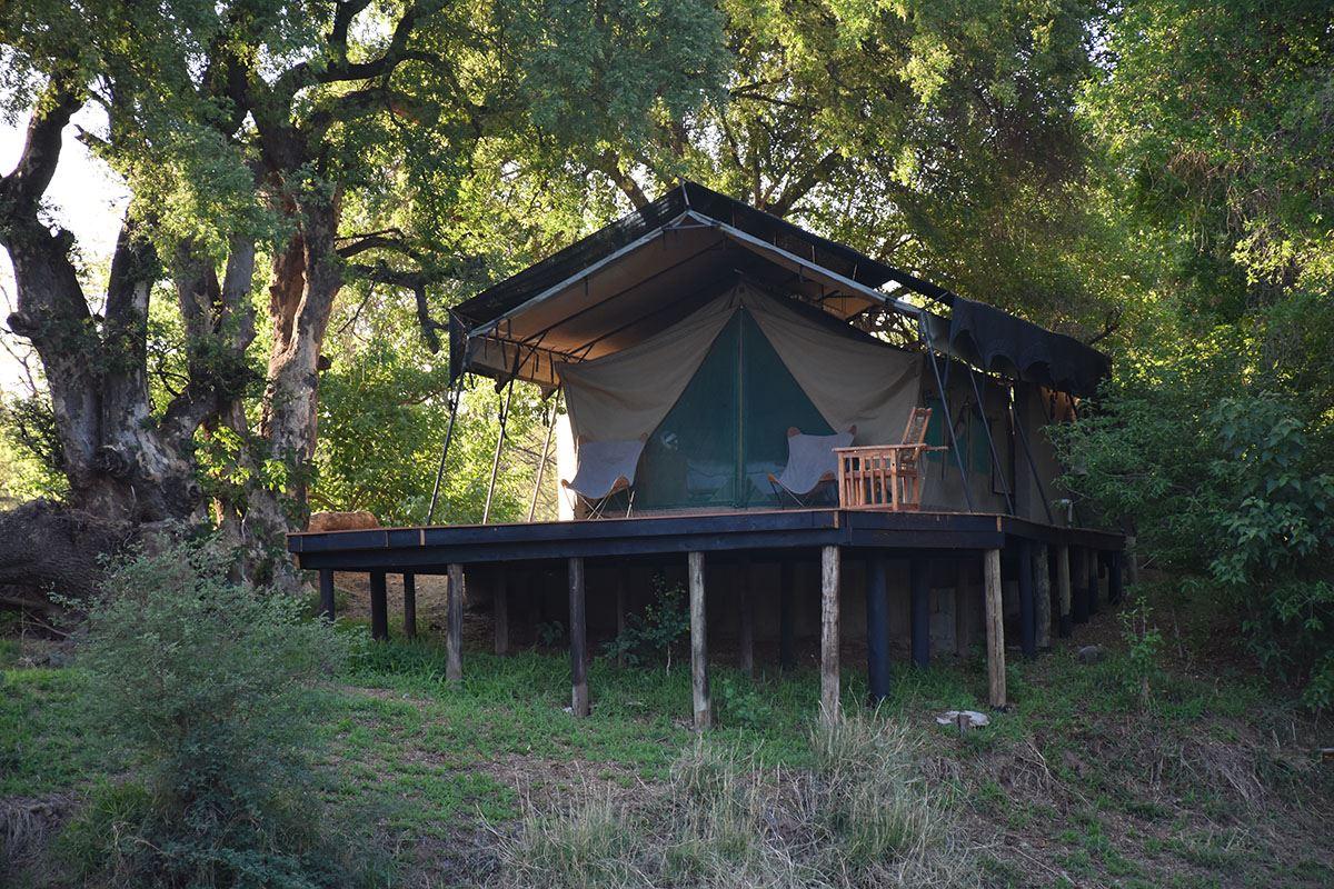 Koro Island Camp | Tuli Block Accommodation