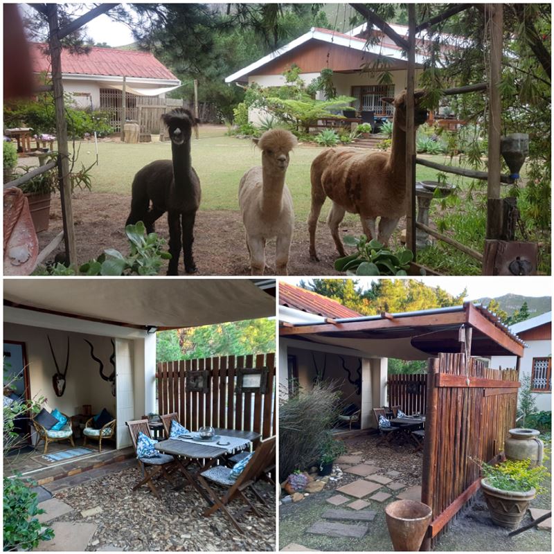 braai area