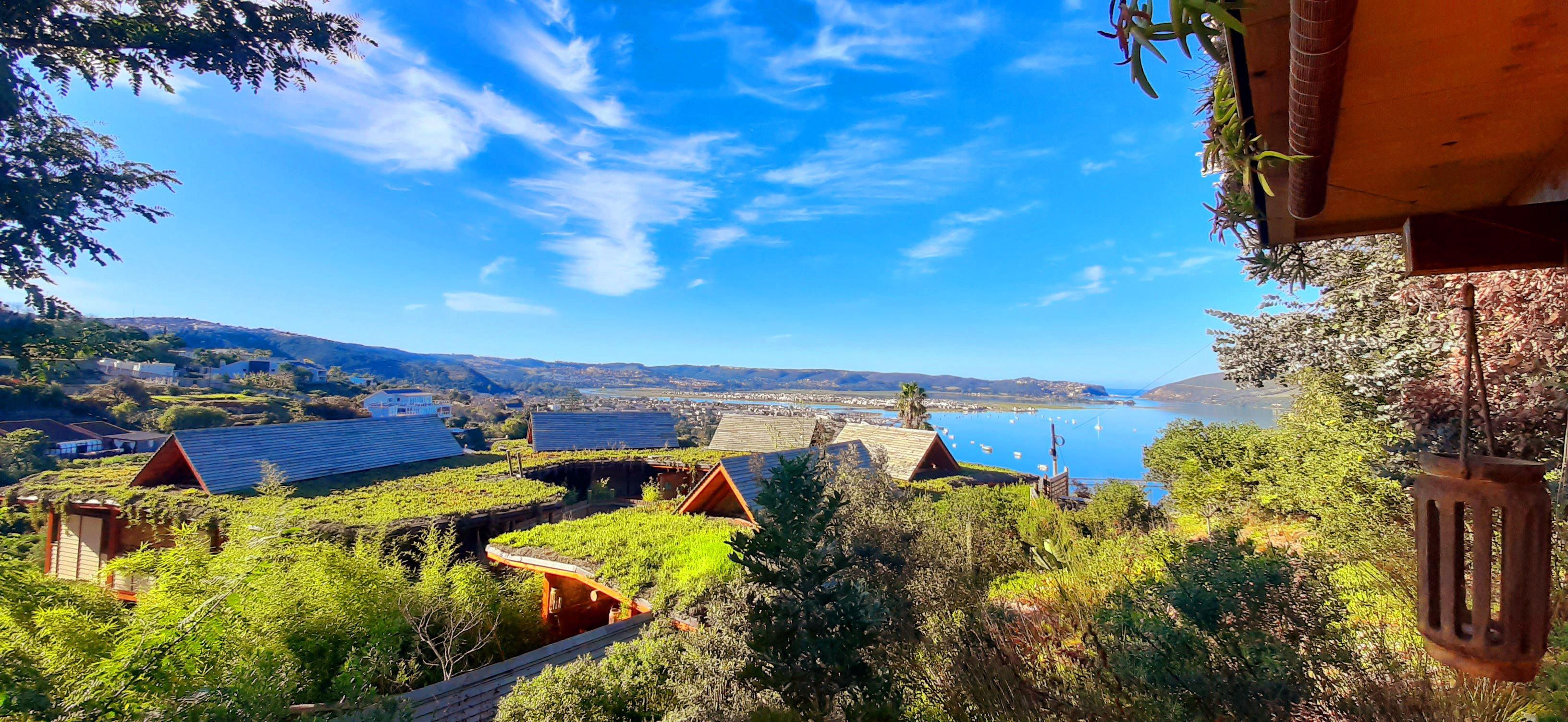 Our unique, organic, indigenous planted living roofs... 